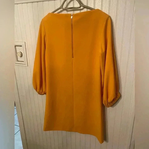 Tibi Boat Neck Shift Dress - Picture 10 of 12